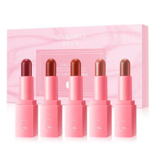 High Quality Private Label Long Lasting Waterproof Mini Makeup Lipstick Gift Set